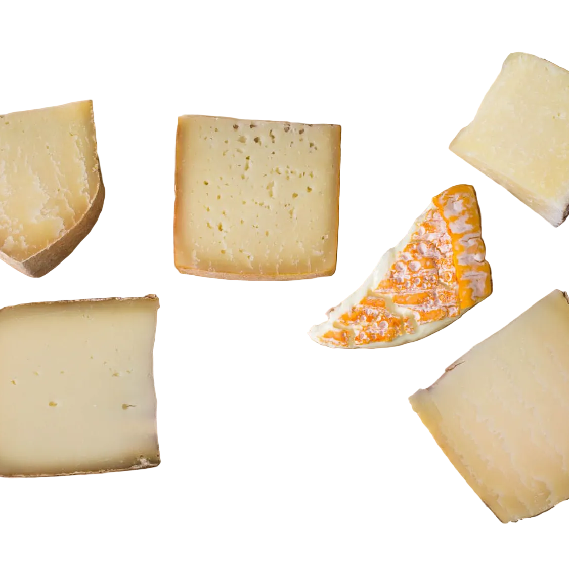 Sheep Cheese