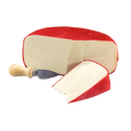 pinconning-fontina